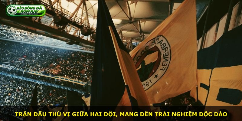 Trận đấu thú vị giữa hai đội, mang đến trải nghiệm độc đáo