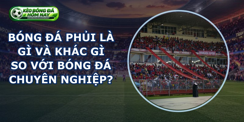 Bóng Đá Phủi