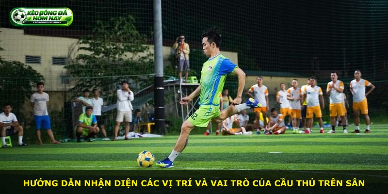Hướng dẫn nhận diện các vị trí và vai trò của cầu thủ trên sân