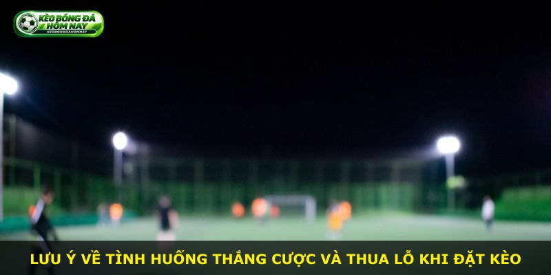 Lưu ý về tình huống thắng cược và thua lỗ khi đặt kèo