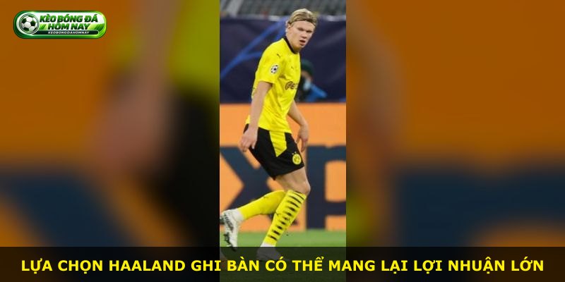 Lựa chọn Haaland ghi bàn có thể mang lại lợi nhuận lớn