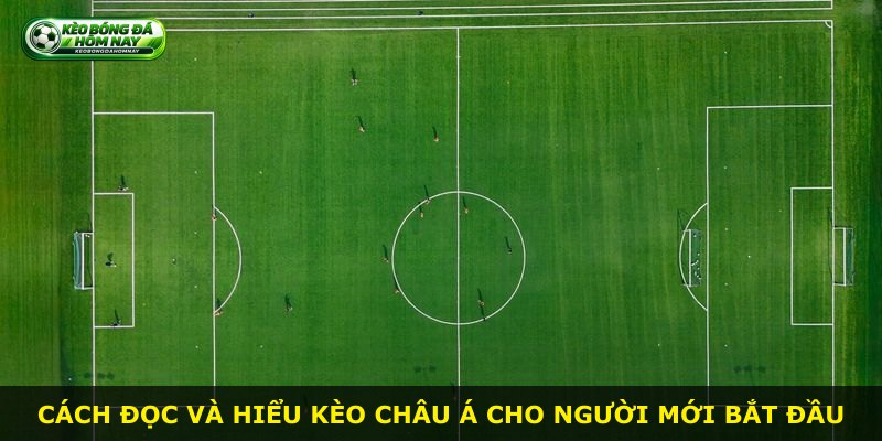 Cách đọc và hiểu kèo Châu Á cho người mới bắt đầu