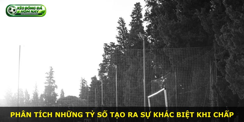 Phân tích những tỷ số tạo ra sự khác biệt khi chấp