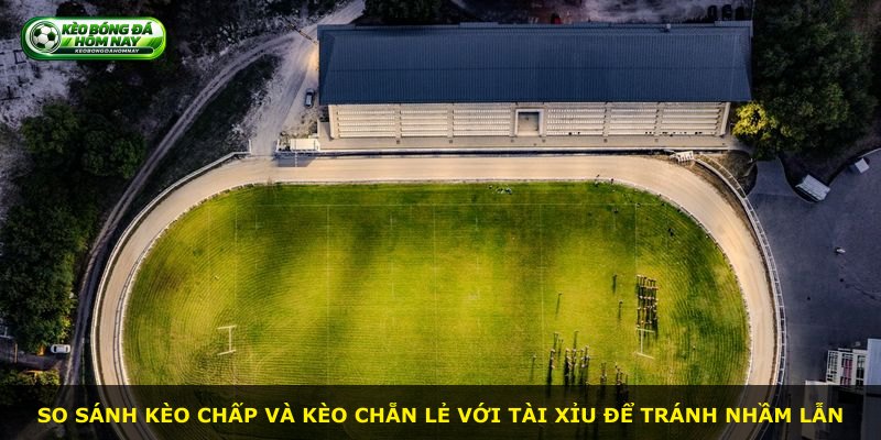 So sánh kèo chấp và kèo chẵn lẻ với tài xỉu để tránh nhầm lẫn
