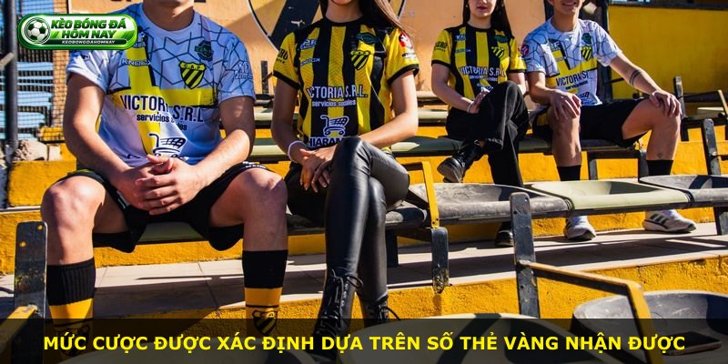 Mức cược được xác định dựa trên số thẻ vàng nhận được