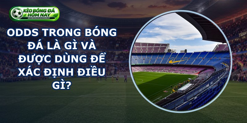 Odds Trong Bóng Đá Là Gì