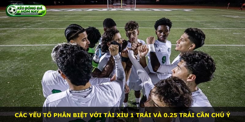 Các yếu tố phân biệt với Tài Xỉu 1 Trái và 0.25 Trái cần chú ý