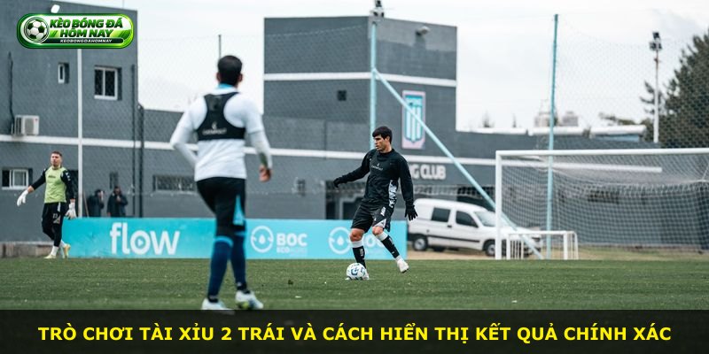 Trò chơi Tài Xỉu 2 Trái và cách hiển thị kết quả chính xác