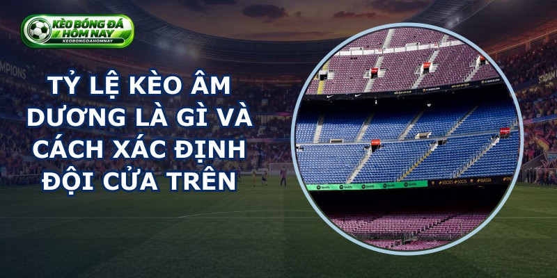 Tỷ Lệ Kèo Âm Dương Là Gì